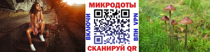 купить наркотики сайты  Новороссийск  Псилоцибиновые грибы мухоморы 