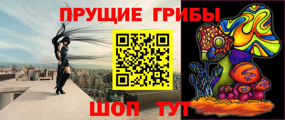 Галлюциногенные грибы MAGIC MUSHROOMS  Вход с VPN  что такое наркотик  Новороссийск 