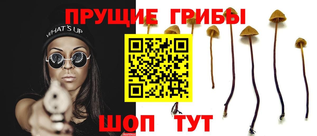 Галлюциногенные грибы Magic Shrooms Новороссийск